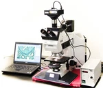 Fluorescence Trinocular Microscope With Two Spot Cameras Leica Leitz Dmrb (4763). Fixed Price $6882.75.