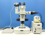 Nikon SMZ800 Epi Fluorescence Stereo Zoom Microscope, P-FLA2, X-cite, Tokai Hit. Fixed Price $7000.00.
