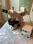 Zeiss Axioskop 2 Trinocular Fluorescence Microscope 63X 1.4NA Apo Objectives. Fixed Price $3499.00.