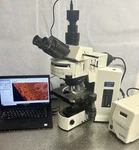 Olympus BX51 New Apo Fluorescence Exfo X-cite Microscope. Fixed Price $9950.00.
