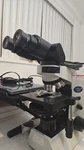 Olympus CX41RF Compound Microscope+new UIS2 4X10X20X40X100X+FILTERS. Fixed Price $1600.00.