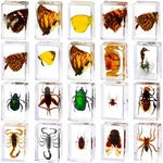 20 Pcs Insect Resin Bug Preserved Specimen Collection Paperweights I.... Fixed Price $58.88.