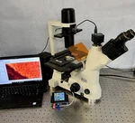 Nikon TS-100 Eclipse Upgraded Led Inverted Fluoresce Phase Microscope. Fixed Price $6750.00.