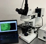 Leica Leitz Wild Laborlux 12 Hbo 100 Fluorescence Trinoc Microscope. Fixed Price $4550.00.