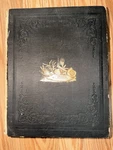 Antique 19THC Palaeontology Of New York James Hall Vols Plates Lot. Fixed Price $499.99.
