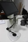 Nikon SMZ800 Trinocular Streo Microscope W/accuscope. Fixed Price $1999.99.