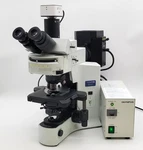 Olympus Microscope BX41 With Fish Fluorescence, Trinocular Head And Camera. Fixed Price $12500.00.