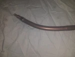 Welchallyn 48200 Flexible Fiber Optic Light Pipe, Inches Long. Fixed Price $52.50.