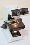 Olympus CH30 Microscope W/ Leitz Binocular Head 4X 10X 40X 100X. Fixed Price $349.95.