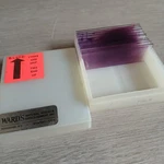 Wards Science Prepared Glass Slides Specimen Medical Samples Small Lot. Fixed Price $16.50.