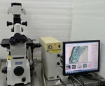 Nikon Eclipse TE2000-U Inverted Research Microscope Epi-fluorescence T-fl. Fixed Price $11999.00.