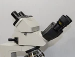 Cleaned Nikon Dual Observation Training Head For Optiphot, Labophot, Alphaphot. Fixed Price $399.95.