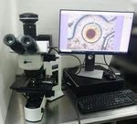 Olympus BX51TRF Research Microscope (transmitted, Reflected)- Tested. Fixed Price $8999.00.
