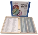 Amscope PS100A Homeschool Biology Prepared Microscope Slides - Set. Fixed Price $53.99.