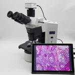 Olympus Microscope BX45 With Phase Contrast, Trinocular Head & Camera. Fixed Price $6495.00.