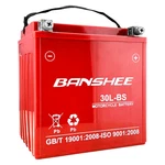 500 Cca 4014609 12 Volt 30AH Agm Battery 2015-2019 For Slingshot Ace Rzr Ranger. Fixed Price $199.99.