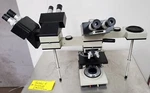 Bausch & Lomb Balplan Multiple Viewing Conference Microscope See Video M3S5. Fixed Price $425.00.