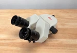 Leica Microscope Binocular Head With Heerbrugg Wild 10X 21 EYEPIECES-10429782. Fixed Price $1099.00.