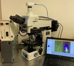 Nikon Eclipse E800 Nomarski Dic Fluorescent Microscope Ergo Head + Cam. Fixed Price $11950.00.