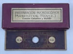 Vintage Microscope Micrometer Scale Slide R&j Beck 1900 Ernesto Caballero Rare. Fixed Price $150.00.