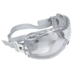 Radians DMG-11 Clear Dual Mold Protective Splash Safety Goggle Ansi Z87.1+. Fixed Price $24.46.