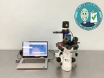 Nikon Eclipse TS100 Inverted Microscope Tested With Warranty See Video. Fixed Price $2999.00.