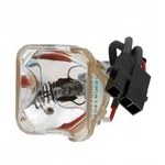 Replacement For MBF74650 130W Nikon C-lhgfi Lamp Ushio. Fixed Price $480.00.