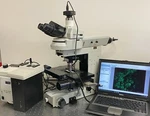 Nikon Eclipse FN1 Wi Microscope Nomarski Fluorescence + Prior Stage X-cite 120. Fixed Price $13950.00.