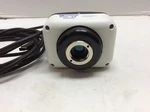 Qimaging Publisher 3.3 Rtv 10 Bit Color Ccd Real Time Microscope Camera. Fixed Price $170.00.