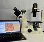 Nikon TS-100 Eclipse Inverted Trinocular Phase Microscope Cam + Guarantee. Fixed Price $3450.00.
