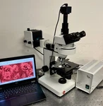 Leitz Wild Laborlux K Fluorescence Microscope Tinoc + Arc Lamp System. Fixed Price $3950.00.