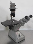 T181224 Olympus Inverted Phase Contrast Microscope W/ 3 Objectives, CK10X Eye. Fixed Price $200.00.