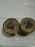 Used Pair Of Nikon Microscope Eyepieces - Cfuw 10X. Fixed Price $99.00.