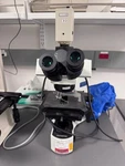 Olympus BX41 Upright Microscope With 4X Objectives. Fixed Price $2500.00.