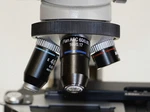 Rebuilt Nikon Alphaphot YS2-T Microscope, New Fine Focus & Pinion W/ 60X Plan. Fixed Price $825.00.