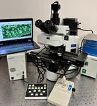 Olympus BX61 Microscope Nomarski Dic Fluorescence + Ludl Mac 5000 Scanning. Fixed Price $16750.00.