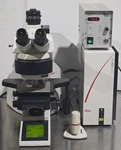 Leica Fluorescence Dic Df Microscope. Fixed Price $9960.00.
