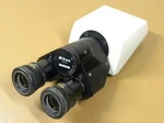 Nikon Microscope Binocular Head With Cfw 10X Eyepieces For Labophot. Fixed Price $89.99.