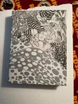 American Illustrated 25. Fixed Price $15.00.