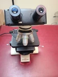 Accu-scope Anti-mold Model 3004. Fixed Price $375.00.