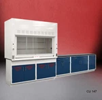 Fisher American 6' Chemical Fume Hood / Flammable Storage &9' Cabinets E1-779. Fixed Price $15460.00.