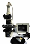 Nikon Eclipse E200 Trinocular Microscope With Camera And Monitor 4X 10X/40X/100X. Fixed Price $1749.00.