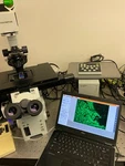 Olympus IX81 Inverted Scanning Fluorescence Microscope Lumencor Led + Prior. Fixed Price $21950.00.