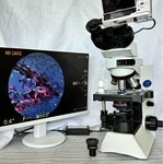 Olympus CX41 Microscope Sony NEX-3 Camera 20.7 Inch Monitor Plan Objectives. Fixed Price $1449.99.